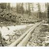 New chute showing method of hewing faces on logs, Lolo National Forest, Montana