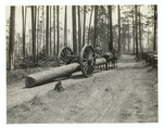 Hauling logs with big wheels