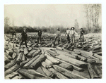 Breaking log jam on Gallatin River, Gallatin County, Montana