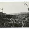 View of burn from new state road, Coos Co., New Hampshire