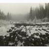 Logs in west branch of Priest River, Kaniksu National Forest, Idaho