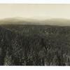 Forests