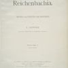 Reichenbachia. Orchids illustrated and described, by F. Sander.