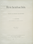 Reichenbachia. Orchids illustrated and described, by F. Sander.