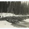 Landing on Priest River, Kaniksu National Forest, Idaho. Logs will be driven in spring to mill.