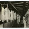 Placing the mark of inspection on passed carcasses
