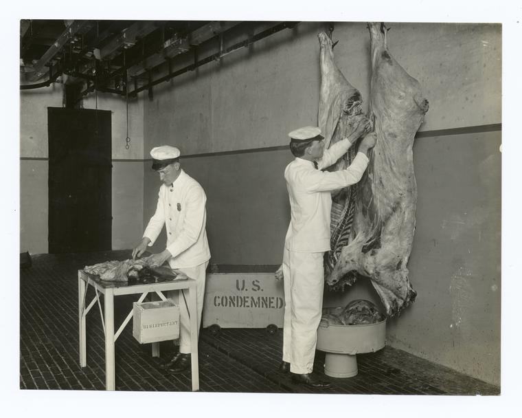 Condemning bad meat - NYPL Digital Collections