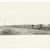 Train of live stock