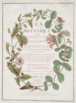 La botanique mise à la porteé de tout le monde ... [Tome II. Title page].