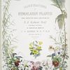 Illustrations of Himalayan plants... [Title page]