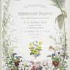 Illustrations of Himalayan plants...