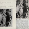 Irian Jaya (West New Guinea). Antiquities