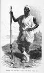 Racine Tall, chef des troupes d'El - Hadj.