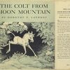 The colt from Moon mountain.