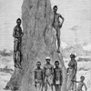 Bujago types and termiks'[termites] nest.