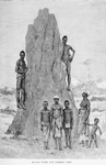 Bujago types and termiks'[termites] nest.