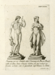 Femmina, per un Simbolo della Clemenza; di Baccio Bandinelli; ed altra Statua d'incerto Scultore, che puòcredersi un' Cceano ambedue entro il Giardinetto degli Ananas in Boboli.