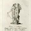 Venere, e Adone; Gruppo sotto le mura nella Cerchiata di Boboli; di Cosimo Salvestrini.