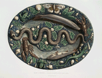 Bassin à reptiles, collection de Mr. le Ms. de Saint-Seine.