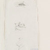 Study, possibly for Ministère de la Marine.