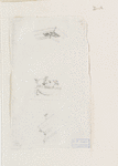 Study, possibly for Ministère de la Marine.
