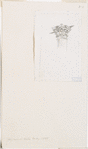 Study, possibly for Ministère de la Marine.