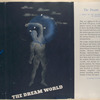 The dream world.