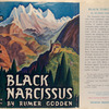 Black narcissus.