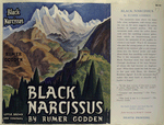 Black narcissus.