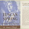 Tuscan spring : a novel about Sandro Botticelli (1444-1510).
