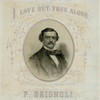 P. Brignoli