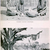 Women cotton spinners; Men weaving.