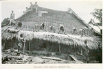 Thatching with palm - leaf (bamboo) mats.