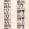 Tajunqan alus: seven phases of stepping; Tajunqan qaqah: five phases of stepping