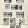 Hands of Javanese court dancer