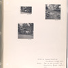 Grobag (oxcart) at Prambanan village ; Deer on the grounds of Prambanan temple complex