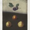 Prune, Common and White damson, and the White imperatrice plums.