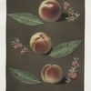 Bourdine, Nivette, or Bell de Vitry and the Late admirable peaches.