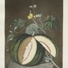 White seeded rock melon.