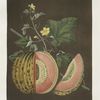 Cantaloupes.
