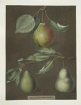 Pears (Cadillac, Paddington and the Saint Marshall).