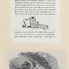 The Great Spirit