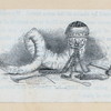 Snuff horn with various small tools attached