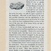 A pair of old Snuffers; To my snuff box [poem]