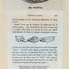 My snuff-box; [Snuff boxes in various shapes and materials]