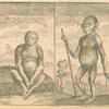 Man - ape from Angola ; Chimpanzi from Angola