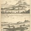 The great Cape lizard, and the small Cape lizard