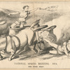 National spring meeting, 1874.  The final heat.