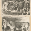 The 'happy family' at Berlin ; 'Where are we now?' [a sheet with two caricatures].