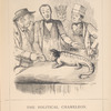 The political chameleon